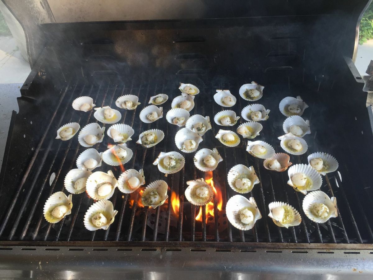 Scallops on the grill